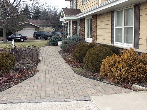 Paver front entry walk with shrub and perennial gardens on both sides. The 2 large blue shrubs by the doorway are R.H. Montgomery Dwarf Spruce; the rounded green shrubs on the side are  