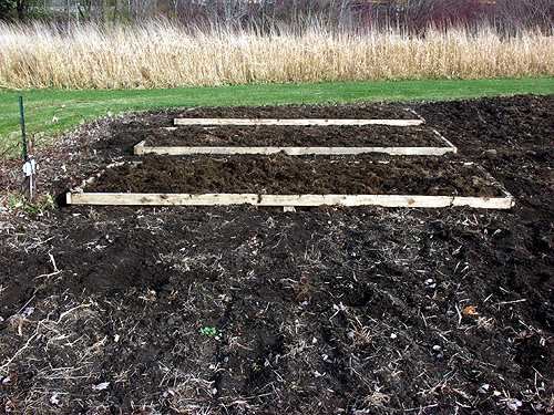 The beds are 6 by 12 feet. The purpose of building these bed was the garden stays wet for along time in the spring and makes it difficult to plant.  The 2 by 4s raise the area just enough to allow it to dry out quicker. A 6 foot wide garden is easy to reach from both sides.