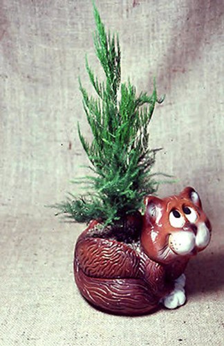 Cute pot.....