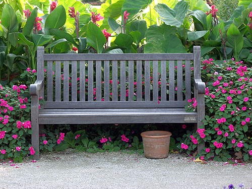 The Pink Impatien provides a splash of color for the area around this bench. I like the use of the deeper color.  It goes better with the weathered look of the bench.