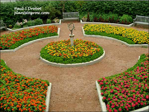 A mass plants at the Greenbay Botanical Gardens.