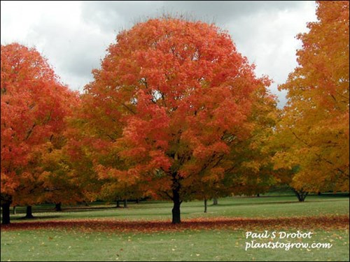 Picture taken October 22.