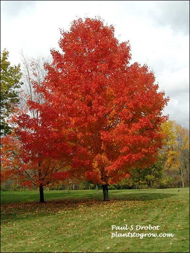 Picture taken October 22.