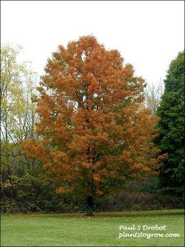 Picture taken October 22.