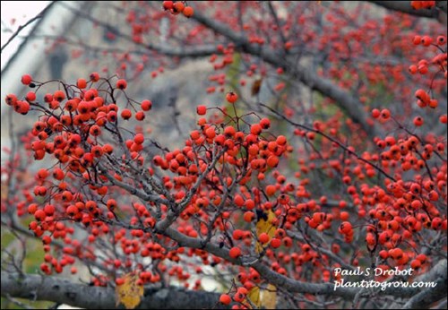 early November