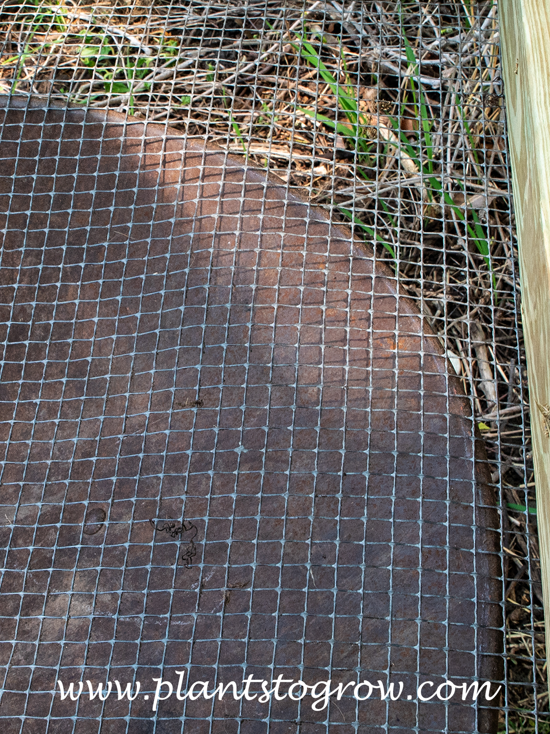 riddle | Plants To Grow Plants Database by Paul S. Drobot